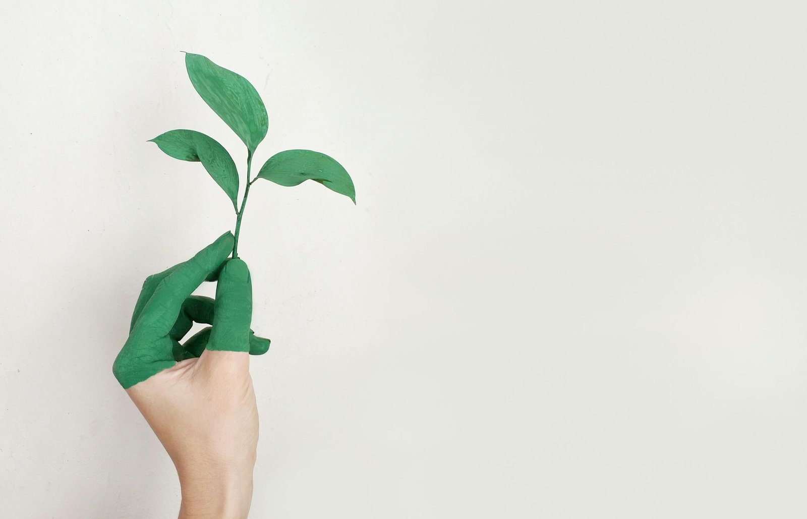 Reclaiming Nature Words – A lush, overgrown landscape where nature